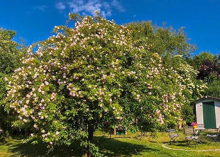 Apartamento Gaestehaus Karstadt 04 - Limone *